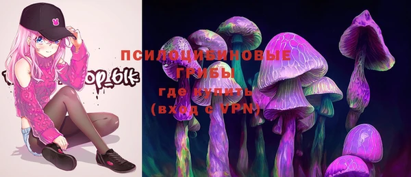 круглые Алзамай